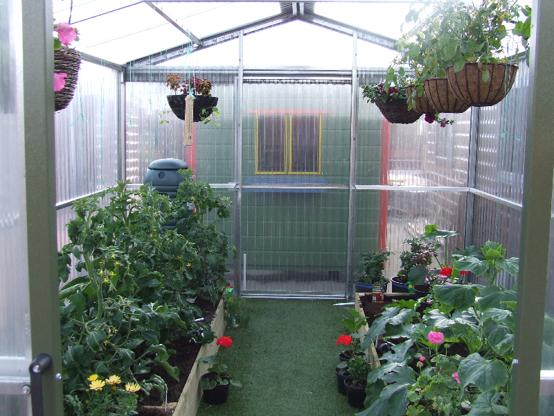 Greenhouse