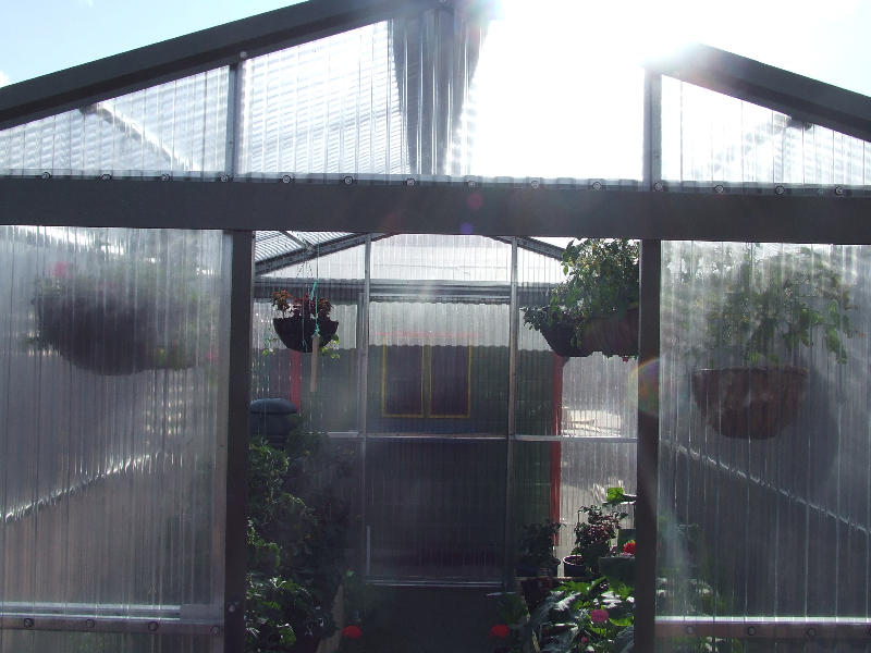 Full Greenhouse Ireland