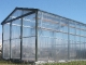 Greenhouse