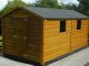 16' x 8' Classic Shed