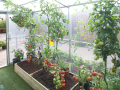 Greenhouse Interior